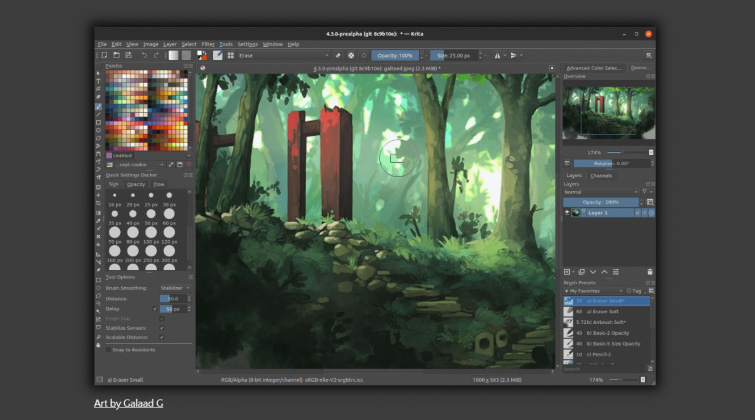 Best Animation Software